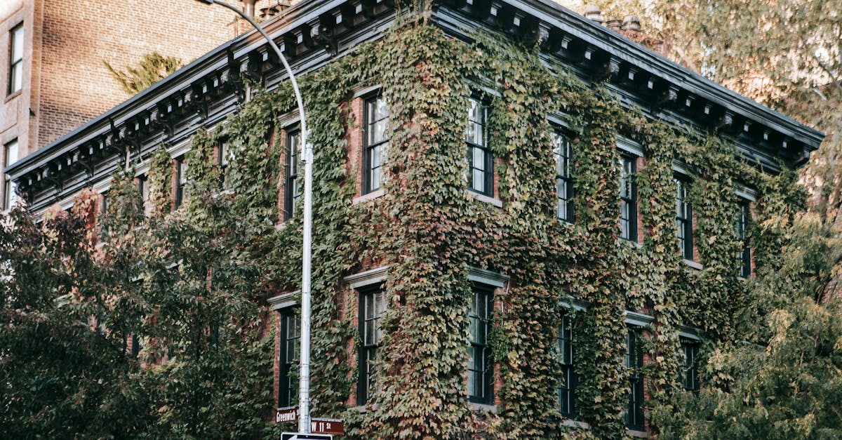 The Role of Eco-friendly Cleaning Products in Sustainable Living