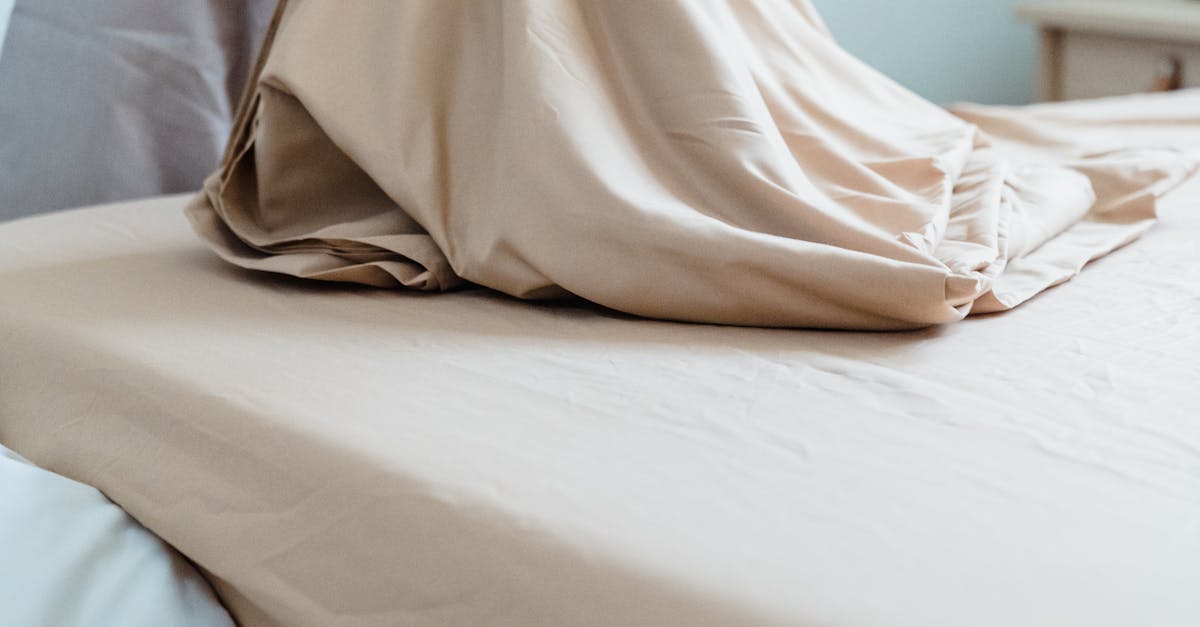 The Ultimate Guide to End of Lease Cleaning for Sydney Renters