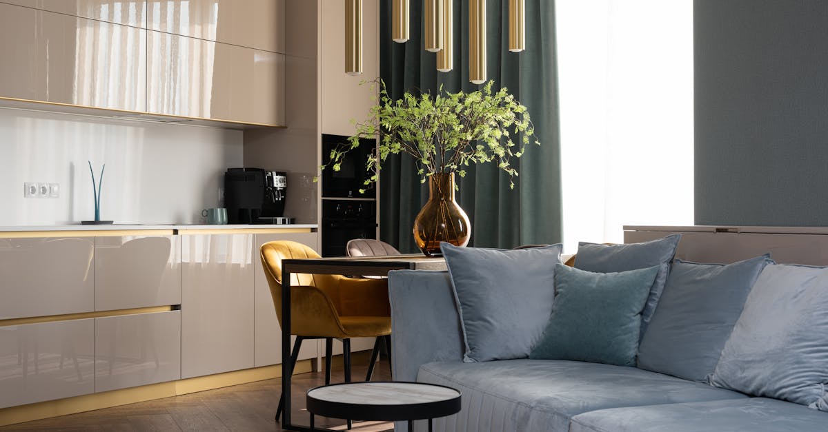 Transform Your Living Space: Spring Cleaning Tips for Sydney Residents